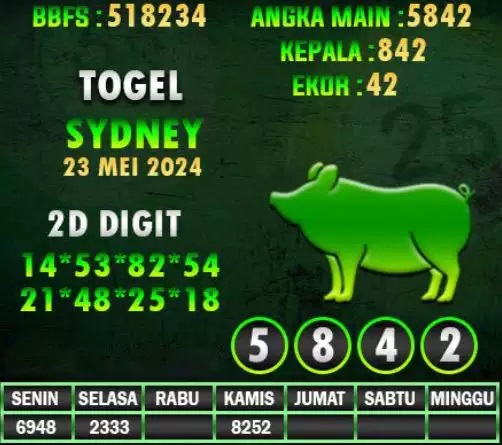 SYAIR SDY VIP